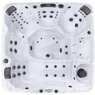 Avalon EC-867L hot tubs for sale in Temeculaca